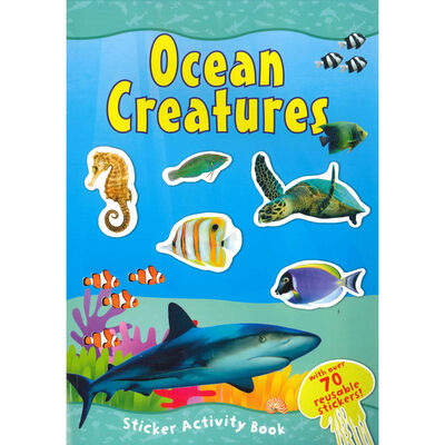 Sticker Activity Book
