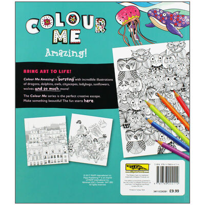 Colouring/Coloring Book