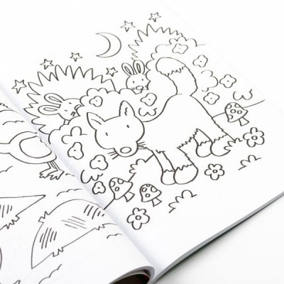 Colouring/Coloring Book