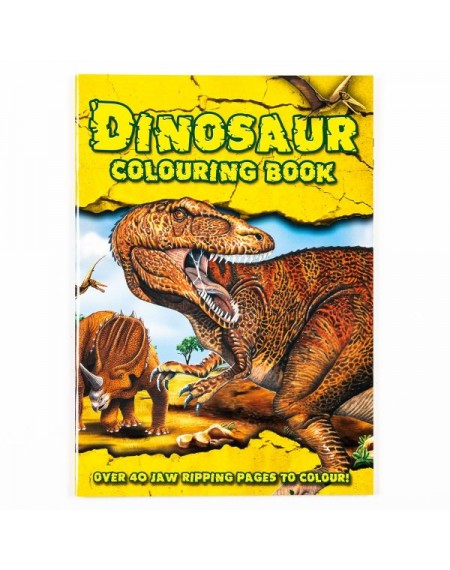 Dinosaur Colouring Book