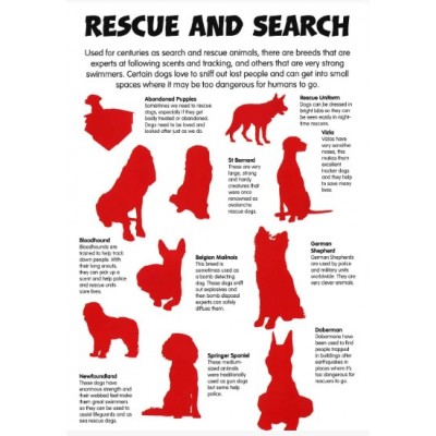 Sticker Activity Book