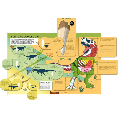 Lift the flap/ Slider Books