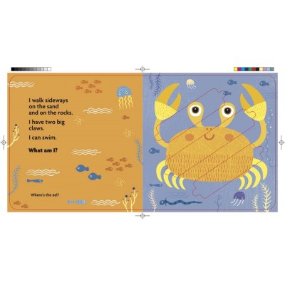 Lift the flap/ Slider Book