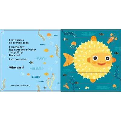 Lift the flap/ Slider Book