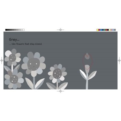 (3-7 years old) children's book