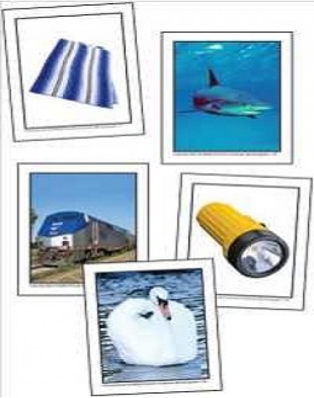 Phonemic Aware Blends And Diagraphs Manipulative