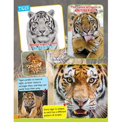 (7-12 years old) children's book