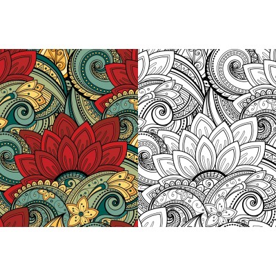 Adult Colouring/Colour Book