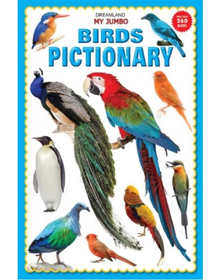 My Jumbo - Birds Pictionary