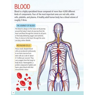 Encyclopaedic/ encyclopedic