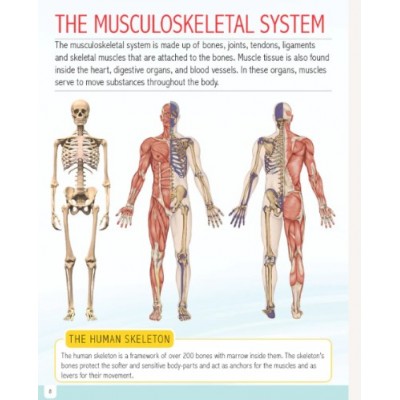 Encyclopaedic/ encyclopedic