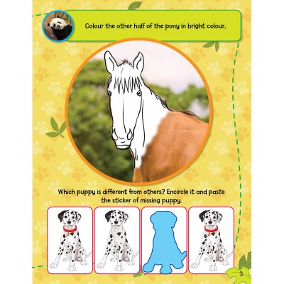 Sticker Activity Book