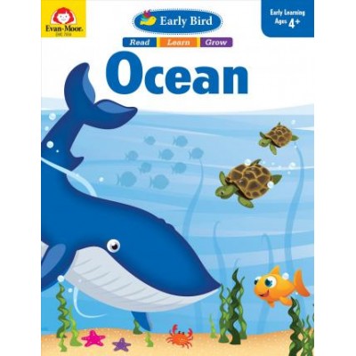 Activity/ Sticker book