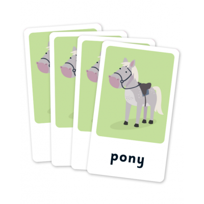 Flash Cards