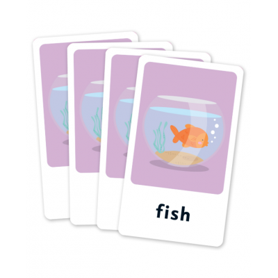 Flash Cards