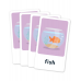 Flash Cards