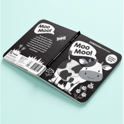 Touch and Feel Books