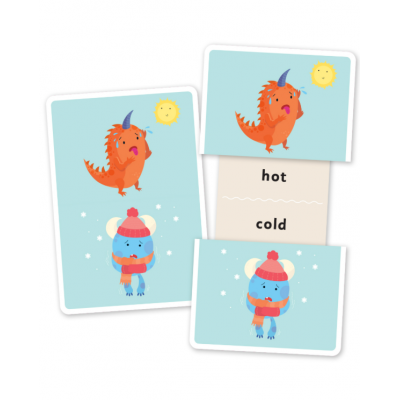 Flash Cards