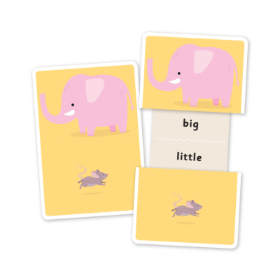 Flash Cards
