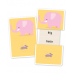 Flash Cards