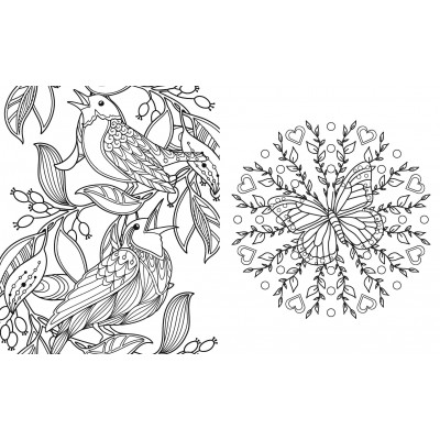 Colouring/Coloring Book