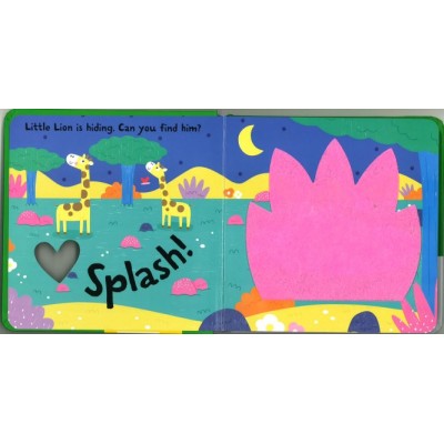 Lift the flap/ Slider Book