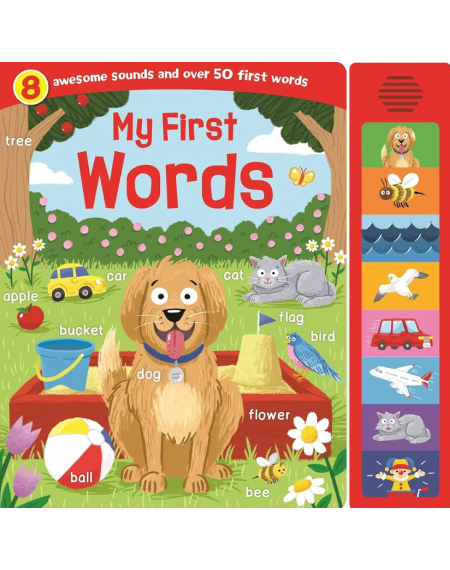 My First Words (Super Sounds)