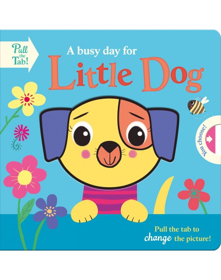 A Busy Day For Little Dog