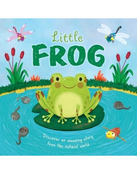 Little Frog