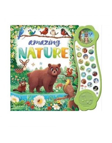 Mega Sounds : Amazing Nature