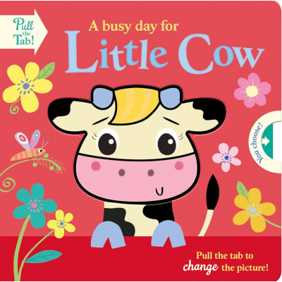 Lift the flap/ Slider Book