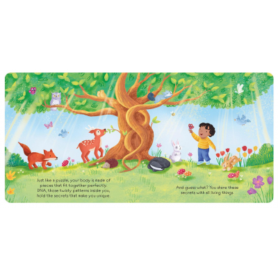 Picture Books