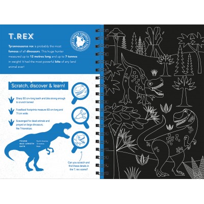 Activity Case (Colouring & Sticker )