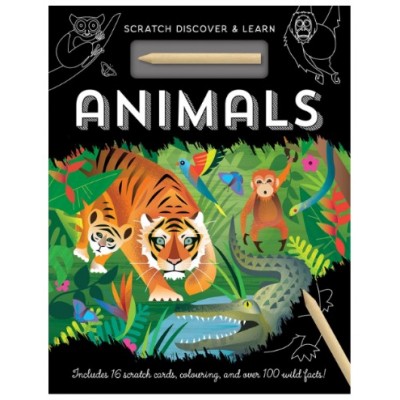 Activity Case (Colouring & Sticker )