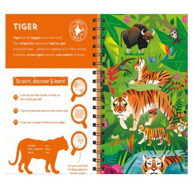 Activity Case (Colouring & Sticker )