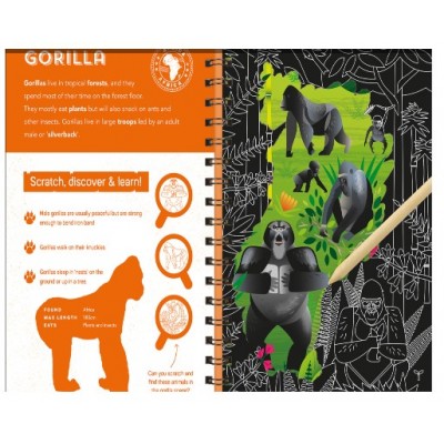 Activity Case (Colouring & Sticker )