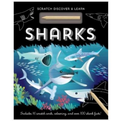 Activity Case (Colouring & Sticker )