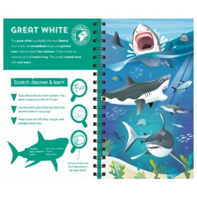 Activity Case (Colouring & Sticker )