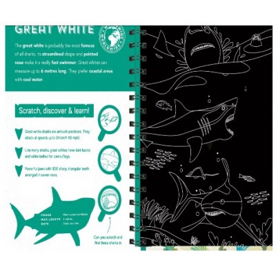 Activity Case (Colouring & Sticker )