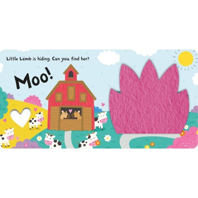 Lift the flap/ Slider Book