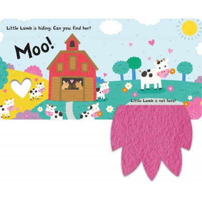 Lift the flap/ Slider Book