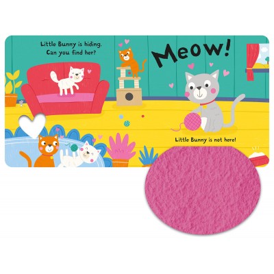 Lift the flap/ Slider Book