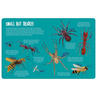 Magic Torch Light Book