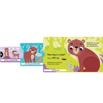 Lift the flap/ Slider Book