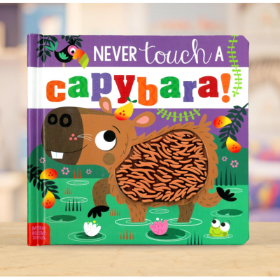 Touch and Feel Book