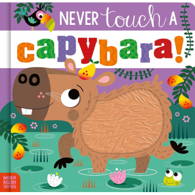 Touch and Feel Book
