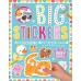 Sticker Activity Book