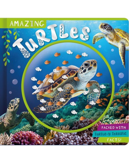 Amazing  Turtles
