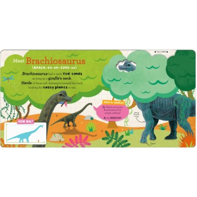 Lift the flap/ Slider Books