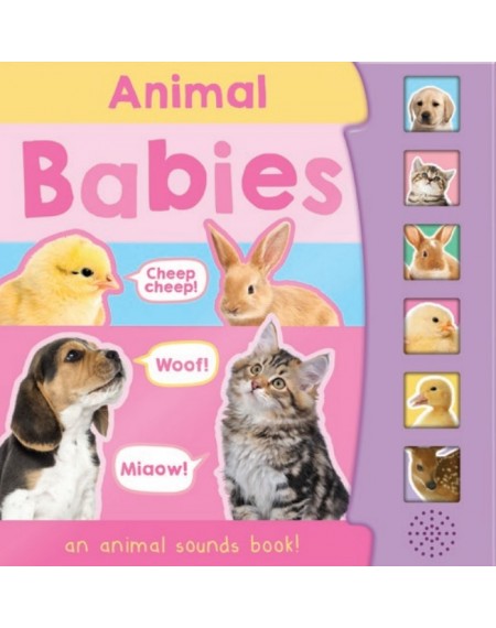 Animal Babies 6 Button Sound Books